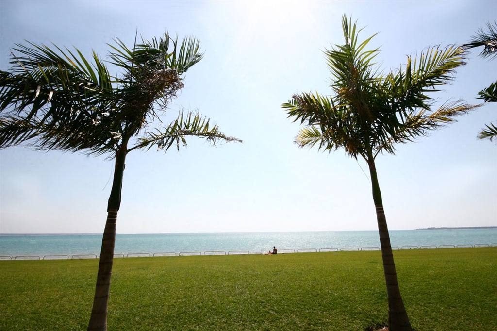 Quality Hotel Darwin Airport Bekvämligheter bild Palm trees at the beach